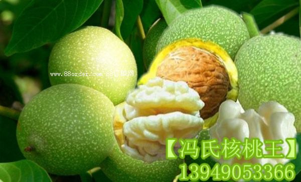 TϺҼ޽ӵľw|l(f)