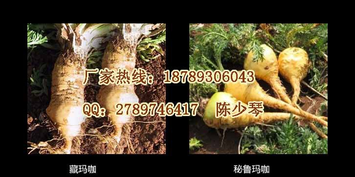 qq截圖20141027102622