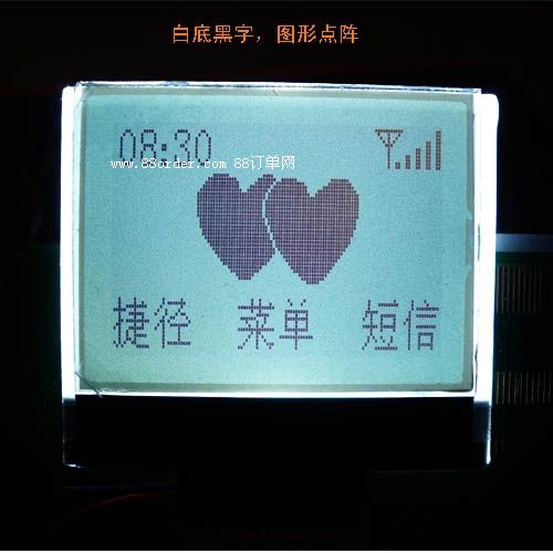 T12864C030