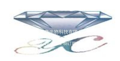 hïƼ޹˾